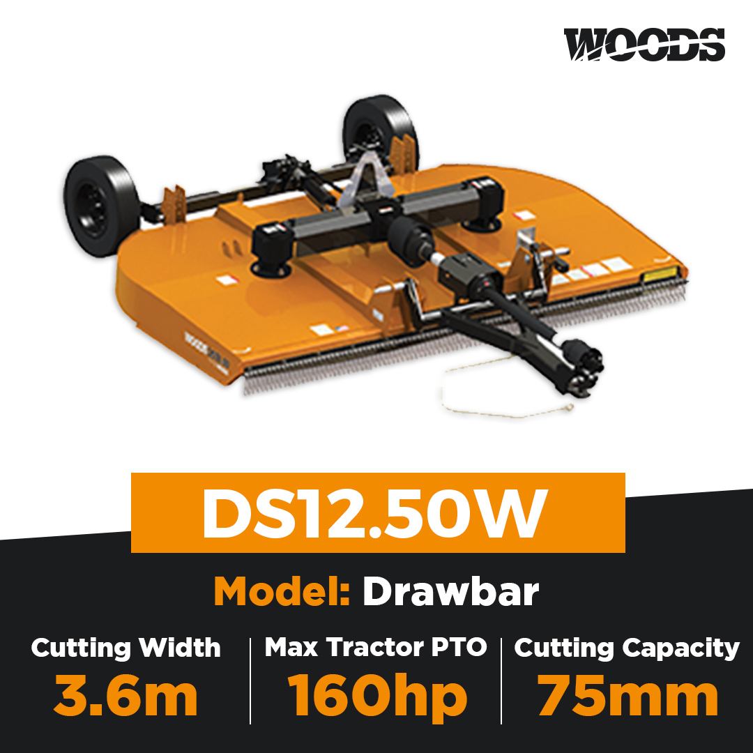 Woods DS12.50W Dual Spindle Slasher